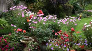 Durchstöbern sie die fotos und finden sie inspiration. Garten Anlegen Und Pflegen Schritt Fur Schritt Zu Ihrem Traumgarten Haus Garten Bild De
