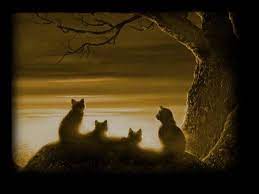 Tons of awesome warriors cats backgrounds to download for free. Warrior Cats Wallpapers Desktop Wallpaper Cave
