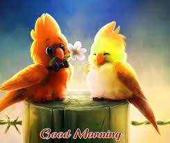 Cute Love Bird Good Morning Pics Hd In 2020 Good Morning Love Messages Morning Pictures Free Good Morning Images