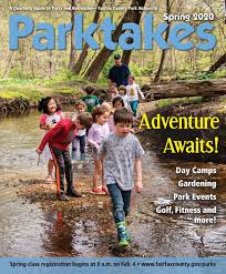 Top 5 best carbon monoxide detector review in 2021. Spring Parktakes 2020 By Fairfax County Park Authority Issuu