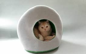 There are 712 luxury cat furniture for sale on etsy, and they cost nz$186.48 on average. Luxury Designer Cat Bed Snuggle Nz Made Felt