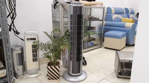 Trong điều kiện mùa khô ở nam bộ, cây huệ bị thiếu nước khô héo hết lá, chỉ còn lại củ (thân giả), khi mùa mưa đến cây huệ sẽ ra lá và trổ. Vai Æ°u Va NhÆ°á»£c Ä'iá»ƒm Cá»§a Ä'iá»u Hoa Cay Mini Nháº­t Báº£n Báº¡n ChÆ°a Biáº¿t