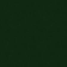 Image result for Mica Green 1999 Tiburon