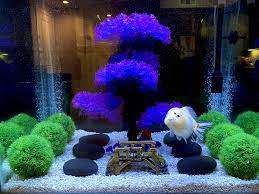 Japanese Garden Theme Amazing Aquariums Cool Fish Tanks Aquarium