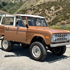 Image result for Light Caramel 1981 Bronco