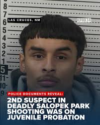 One of the suspects charged in connection with the Las Cruces Salopek Park  shooting that killed a 19-year-old woman and injured another man was a  juvenile