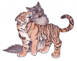 How To Draw Anime Wolves And Tigers Image Gallery Tiger Art Tiger Sketch Animal Drawings