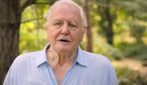 Find out how to shape a better future living in balance with nature. David Attenborough Says He Might Not Be Here To See Us Save The Planet Metro News