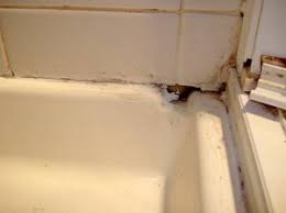 We did not find results for: Shower Pan Weep Holes Were Developed To Allow All Moisture To Drain Back Into The Shower Before Exiting The Enclosur Shower Tile Shower Door Track Shower Grout