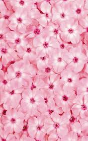 Wall collage pink vibes color pink wallpaper pretty wallpapers everything pink food wallpaper phone wallpaper rose wallpaper trendy wallpaper flower wallpaper pink new wallpaper. Image 3860341 On Favim Com