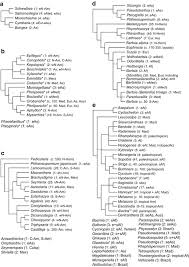 Image result for Harveya alectroides