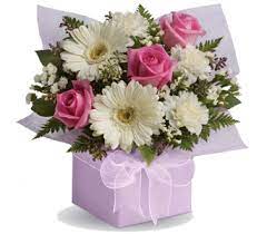 Check spelling or type a new query. Flower Shop Smithfield Craigmore Same Day Delivery Flowers R Us