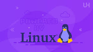 Best Linux Distributions for Hosting | UltaHost Blog