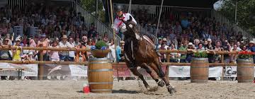 Sale ends friday at midnight. Working Equitation Engl Andrea Jaenisch
