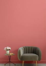 Pink Sky Best Bedroom Paint Colors Pink Paint Colors Pink Painted Walls