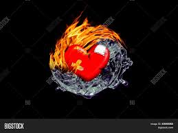 Black and white koi fish forming yin yang illustration, koi yin and yang yin yang fish tattoo drawing, creative fish taiji bagua, white, animals, decorative png. Yin Yang Fire Water Image Photo Free Trial Bigstock