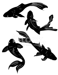 Aesthetic Black And White Koi Fish Wallpaper Set Of Four Swimming Poses Koi Pond Fish Black Silhouettes Stock Photos Freeimages Com Fish Silhouette Black Koi Fish Koi Art