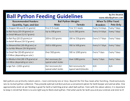 How Much To Feed