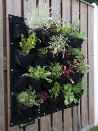 Vertikaler Stadtgarten Hanging Herb Garden Hanging Herbs Wall Garden