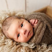 SHANA LYNNE PHOTOGRAPHY (@shanalynnephoto) • Instagram profile