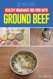 Adventuredogsofficial Dogmomaf Livelifeoffleash Outdoorpups Bork Lifeanddog Fren Campingwithdogs In 2020 Dog Food Recipes Healthy Dog Food Recipes Make Dog Food