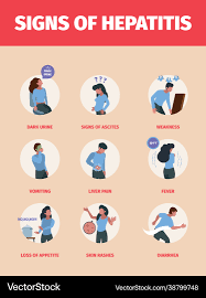 Image result for hepatitis symptoms