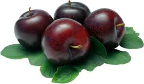 plum icon web icons png plum icon web icons png