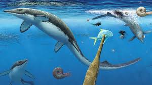 NASA's Apollo Humanoid Robot will hit the market for R$240: it could be  your colleague at work