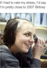 Meme generator, instant notifications, image/video download, achievements and many more! 22 Fiscal Year Ideas Bones Funny Funny Quotes Just For Laughs