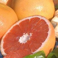 Cette méthode idéale pour brûler des graisses et perdre du poids permet d'activer le métabolisme, et de vous. Medicaments Et Pamplemousse A Eviter