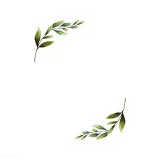 Download Premium Vector Of Hand Drawn Olive Branch Frame Watercolor Style How To Draw Hands Olive Branch Olive Branch Tattoo
