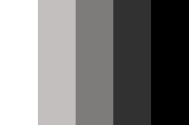 Reverse Monochromatic White Color Palette Black Color Palette Dark Color Palette Color Schemes Colour Palettes