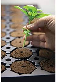 I recently purchased some rapid rooters because i thought i was sure that was the route i wanted to go because it is the easiest route (i read) and i am rapid rooter or nothing. Amazon Com General Hydroponics Rapid Rooter Plant Starters 50 Plugs Plant Germination Kits Garden Outdoor