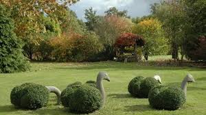 Jardin Pepiniere Du Point Du Jour Verdelot Rebais Provins Seine Et Marne Ile De France France Ile De France Ile Pepiniere