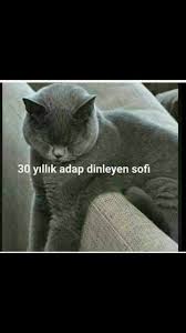 Fatih Can Adli Kullanicinin Menzil Gavs Panosundaki Pin Komik Guzel Soz Resimler