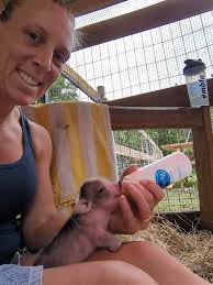 This morning at work. You can still see a tiny little umbilical cord.