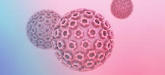 Check spelling or type a new query. What Do I Need To Know About Hpv Moffitt