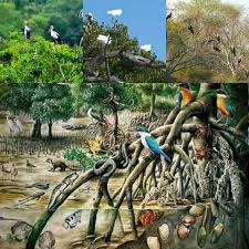 Maybe you would like to learn more about one of these? Selamatkan Hutan Bakau Kita Dengan Tangan Mu Penjagaan Pemuliharaan Alam Sekitar Adalah Tanggungjawab Kita Semuaa Facebook