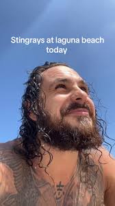 Newport Beach Stingrays