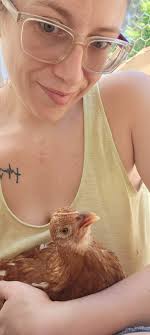 Concerns about 8-week-old golden sexlink chick's leg health and lameness,  seeking advice and suggestions for treatment