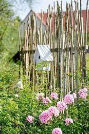Seit Langem Verfolgt Es Meinen Kopf Ein Sichtschutz Den Sie Nicht Interessieren Diyprojectsgardens Club Sichtschutz Garten Diy Gartenideen Gartensichtschutz