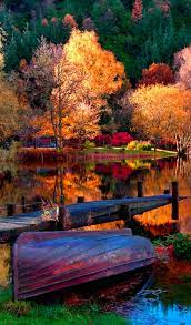 Chris bartnik photography has uploaded 307 photos to flickr. I Need Help To Though I Think What I Need Is What Others Just Take For Granted I Just Need Some Love And I Feel That When In 2020 Autumn Lake