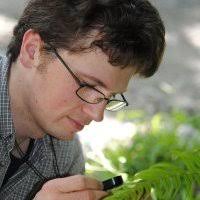 Image result for Floscopa leiothyrsa