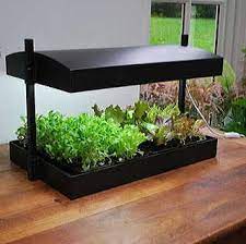 Sunblaster Self Watering Growlight Garden Indoor Vegetable Gardening Herb Garden In Kitchen Grow Lights