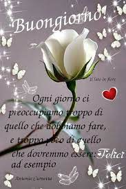 Che Sia Una Splendida Giornata Buongiorno Auguri Di Buongiorno Buongiorno Venerdi