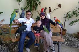 Последние твиты от kl bird park (@kl_birdpark). Mama S Review Kl Bird Park Ninja Housewife