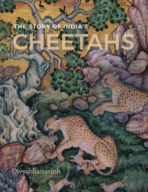The Story of India's Cheetahs': How the cheetah went from being hunter to hunted