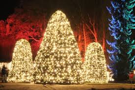 The botanical garden in berlin. Christmas Garden In Berlin Visitberlin De