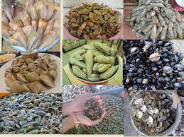 15 diantaranya tentu harus anda ketahui. Diantara Jenis Jenis Siput Kongsi Apa Apa Sahaja Facebook