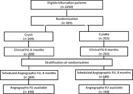 coronary circulation flow chart cardiac blood diagram